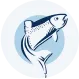 UrbanFish