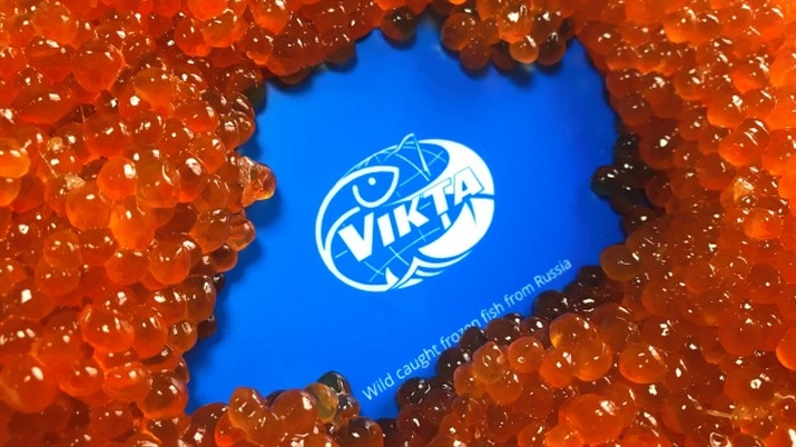 vikta_004480f8-5fd2-4528-add1-16f4ee8494d9_59e95f17f1002.JPG